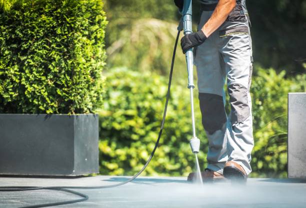 Best Solar Panel Cleaning  in Santa Maria, CA